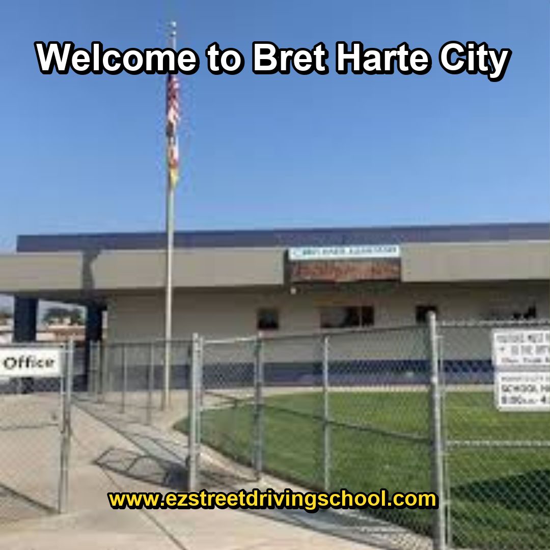 Driving Lessons in Bret Harte